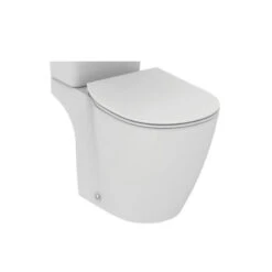 Cuvette Seule Surélevée Sanis Freedom Porcher - 65 X 36,5 Cm