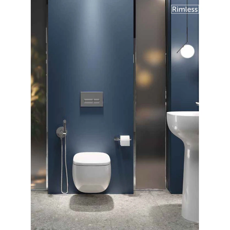 Pack WC Suspendu - Rak-Illusion - Rimless - Dimensions 52 X 38 Cm 5 Pack WC Suspendu - Rak-Illusion - Rimless - Dimensions 52 X 38 Cm – Image 3